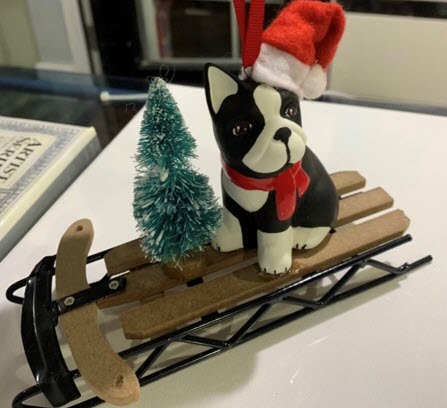 05-Sled with Boston Terrier